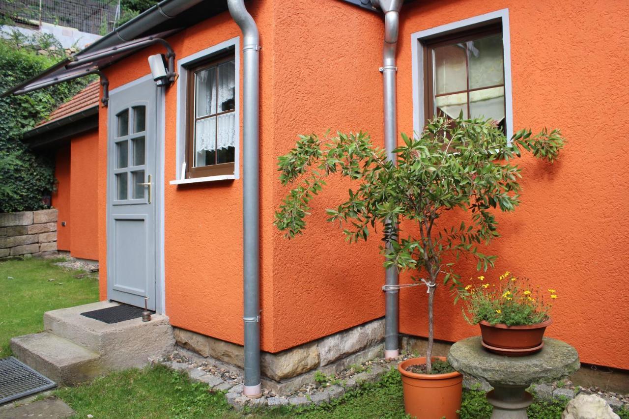 Ferienhaus Franz - An Der Elbe, Mit Grossem Garten Pirna Exterior photo